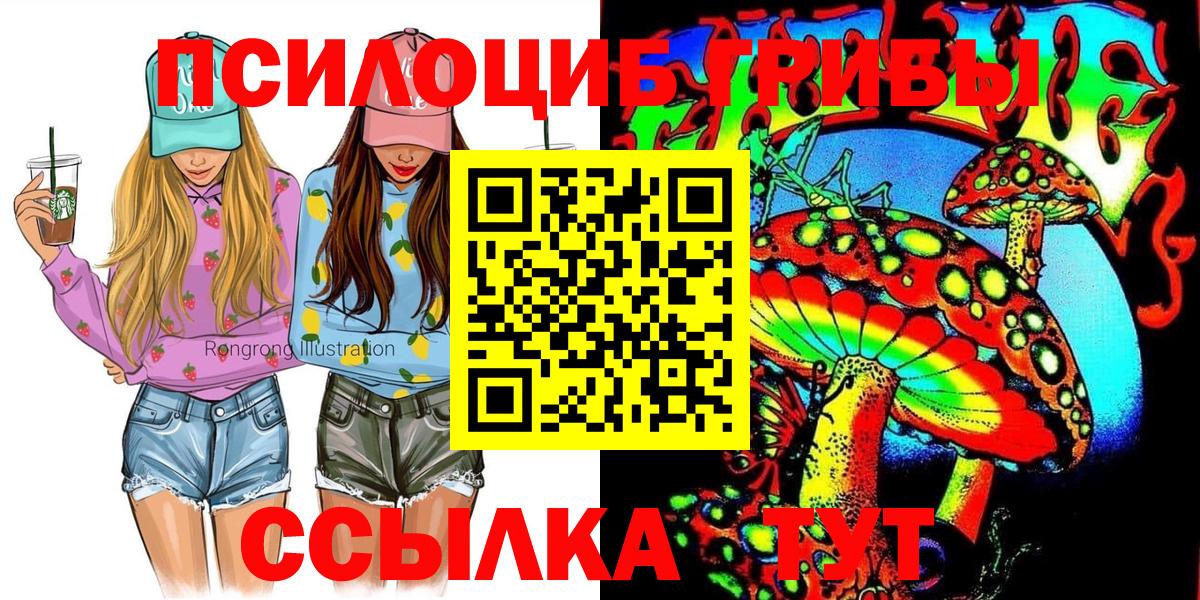 Камышин  Галлюциногенные грибы прущие грибы  Вход с VPN 
